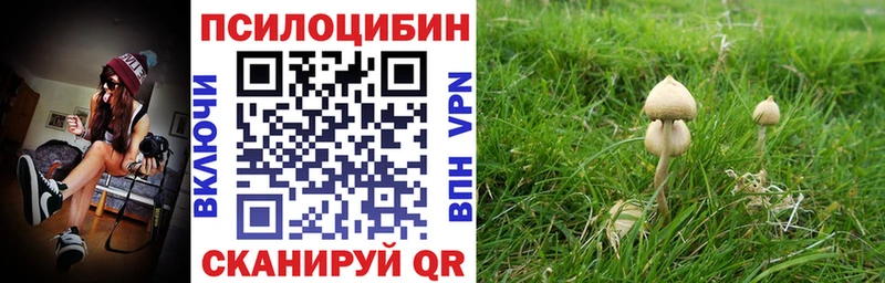 Псилоцибиновые грибы MAGIC MUSHROOMS  Сухиничи 